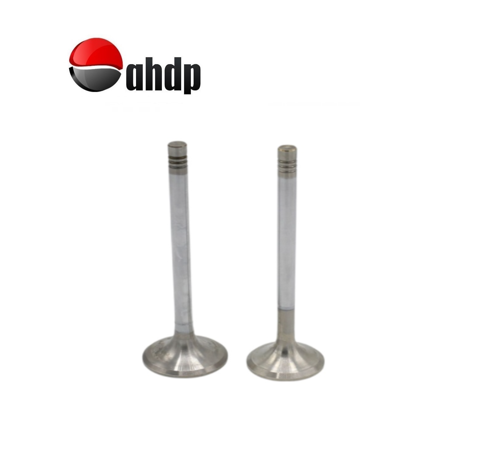 ENGINE VALVE SET IN+EX HATZ - HZ0104108400, HZ0104108500